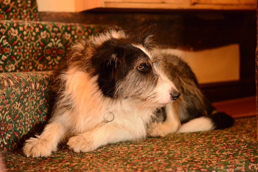 Badgers Hall Chipping Campden Esterno foto