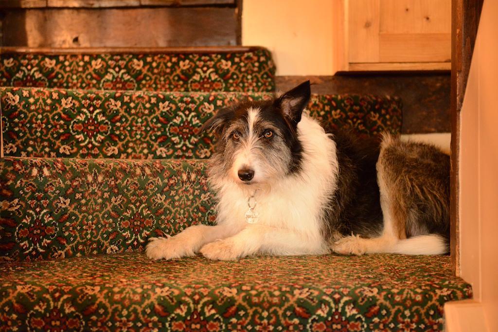 Badgers Hall Chipping Campden Esterno foto